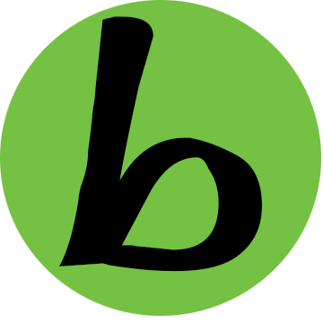 babylon pro 10中文版修改版