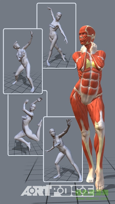 ArtPose Female女版0