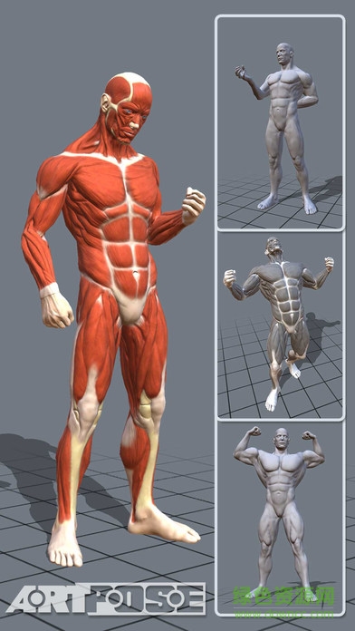 artpose pro中文版0