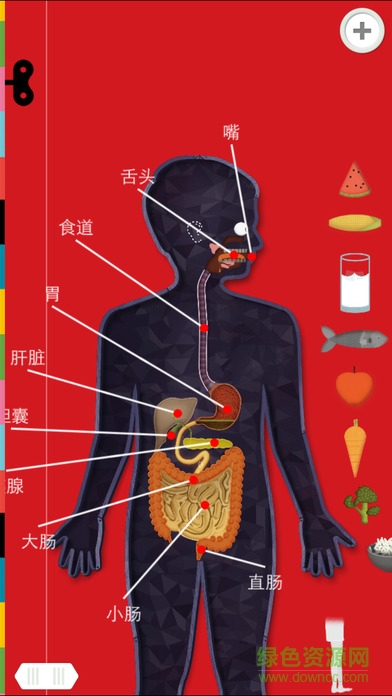 人體探秘3