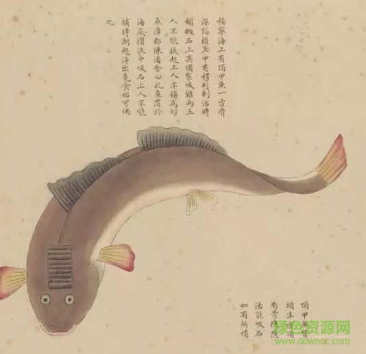 故宮海錯圖電子版  0