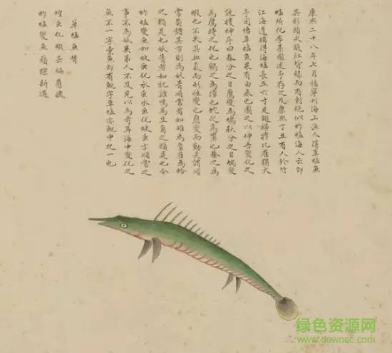 清宮海錯圖pdf