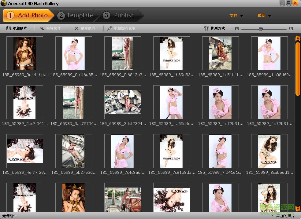 3D Flash相冊(cè)制作軟件(Aneesoft 3D Flash Gallery) v2.4 中文綠色版 0