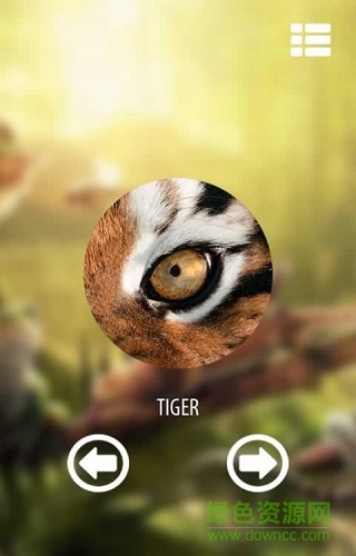 動(dòng)物視覺模擬器游戲(Vision animal simulator) v1.2 安卓版 1