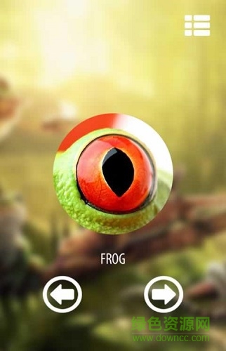動(dòng)物視覺模擬器游戲(Vision animal simulator) v1.2 安卓版 0