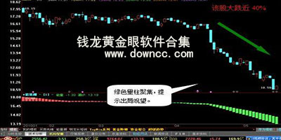 錢龍黃金眼