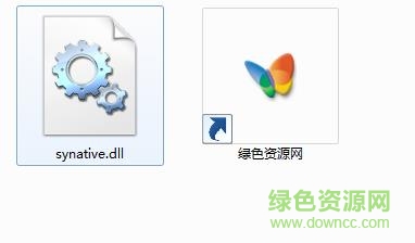 synative.dll