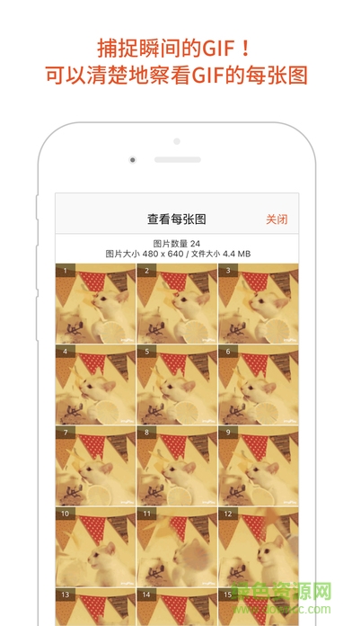 GIF Viewer(動態(tài)圖相冊) v3.2.2 安卓版 1