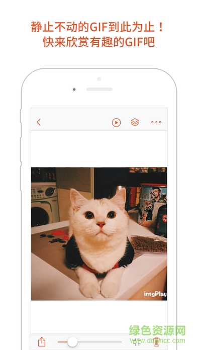 GIF Viewer(動態(tài)圖相冊) v3.2.2 安卓版 2