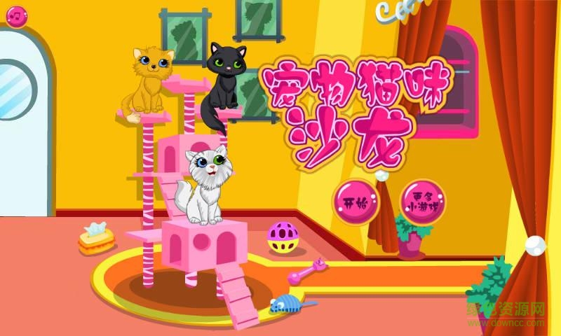 貓咪沙龍