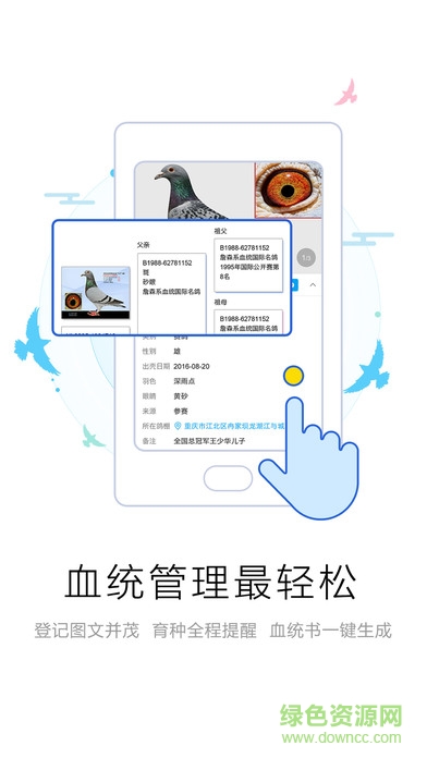 愛鴿者app軟件