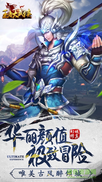王者大武俠