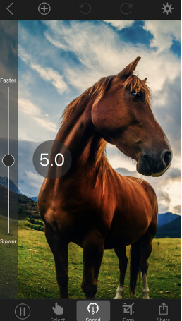 Plotagraph pro軟件 v3.6.9 安卓免費(fèi)版 1