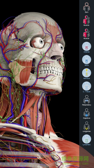 Essential Anatomy 5 v5.0.3 安卓版 0