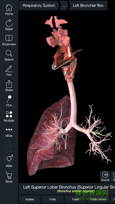 Essential Anatomy 5 v5.0.3 安卓版 1