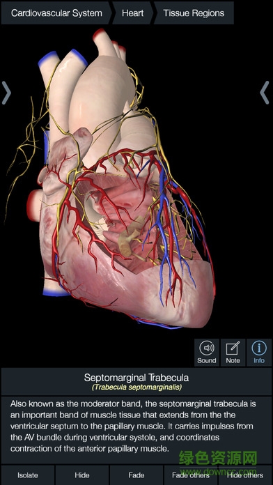Essential Anatomy 5 v5.0.3 安卓版 2