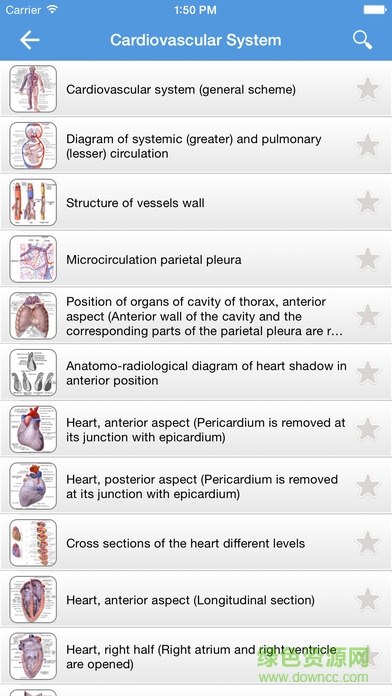 Human Anatomy Atlas 2017 Edition v2017.1.39 安卓漢化版 2