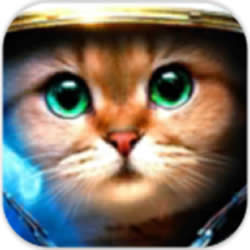 武裝貓咪無限金幣版(Armored Kitten)