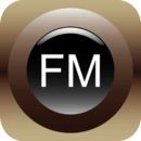 堅(jiān)餅fm(汽車音樂(lè)控制)