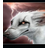 ThunderFox(載|屏幕截圖錄像)