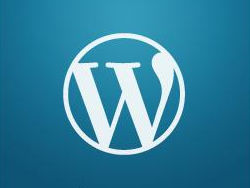 SEO ultimate中文版