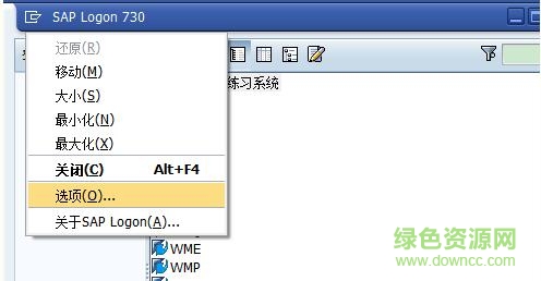 sap gui 730 64位