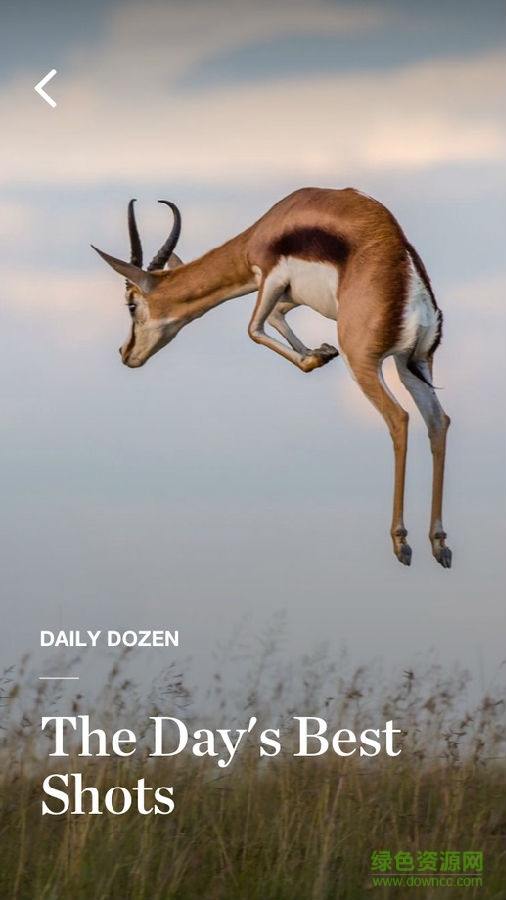 nat geo view