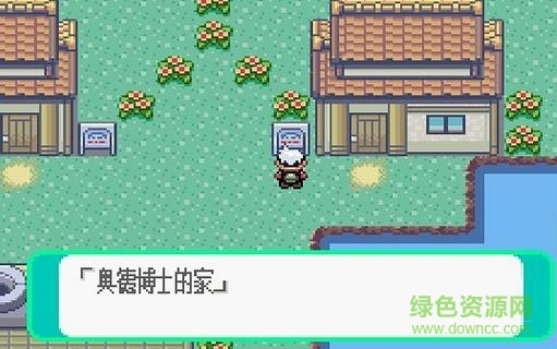 口袋妖怪炎之冒險修改版 v1.0.0 安卓版 0