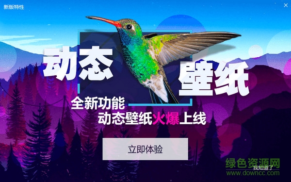360小鳥壁紙軟件0