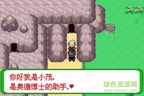 口袋妖怪空之花神補(bǔ)完版漢化版1