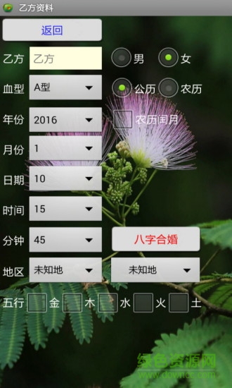 南方八字合婚