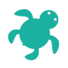 海龜出行turtle trip(海外包車)
