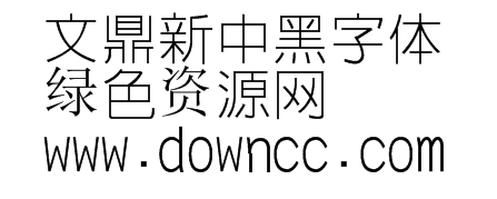 文鼎新黑