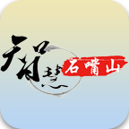 智慧石嘴山平臺(tái)app