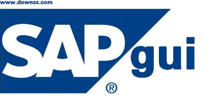 sap gui軟件哪個(gè)好?sap erp系統(tǒng)下載-sap gui配置文件