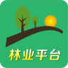 無界空間
