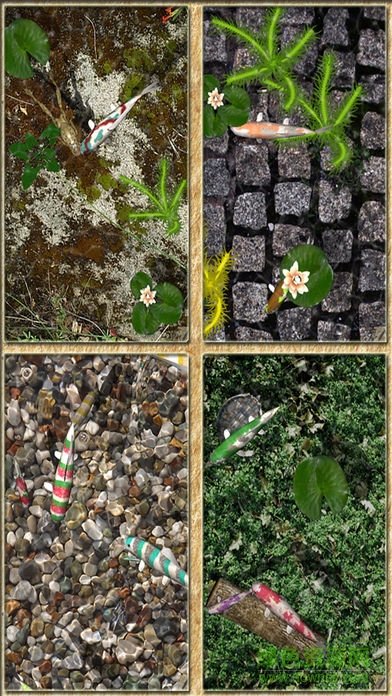 口袋池塘2漢化版(PocketPond2) v1.4.2 安卓版 1
