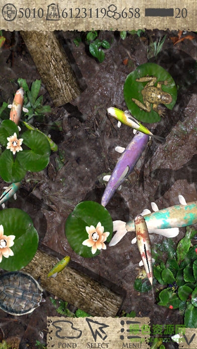 口袋池塘2漢化版(PocketPond2) v1.4.2 安卓版 3