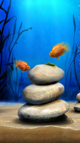 模擬水族館內(nèi)購正式版(iQuarium) v2.11 安卓無限金幣版 0