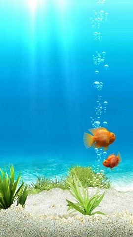 模擬水族館內(nèi)購正式版(iQuarium) v2.11 安卓無限金幣版 1