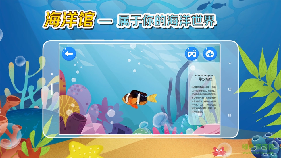 繽紛的魚手機(jī)版(海洋魚類百科) v1.0.4 安卓版 2