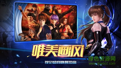 生死格斗5華為版 v1.1 安卓版 0