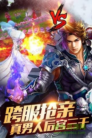 圣域傳說游戲