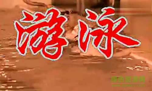 高清游泳教學(xué)視頻  0