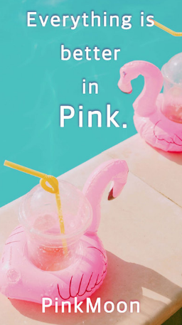 pinkMoon濾鏡相機0