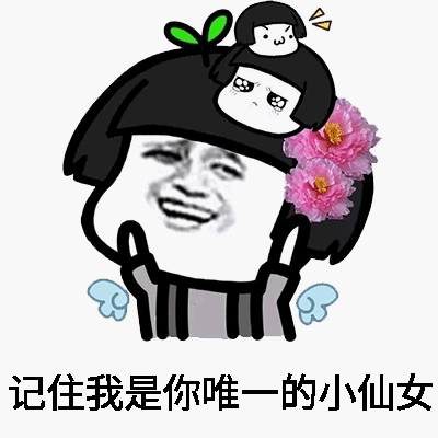 小仙女表情包大全