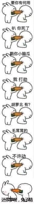 腦子進(jìn)蘿北表情包
