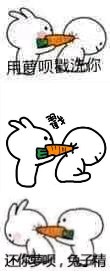 你腦子進(jìn)蘿北動(dòng)漫表情包  1