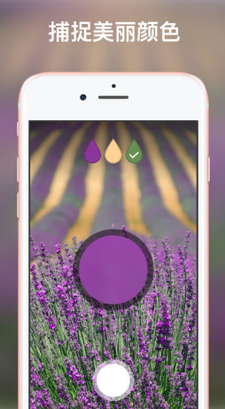 Bloom繪本游戲 v1.0.1 安卓版 0