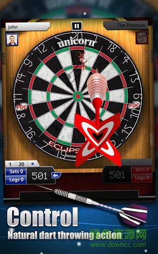 飛鏢錦標賽(Darts Match) v1.5 安卓版 3